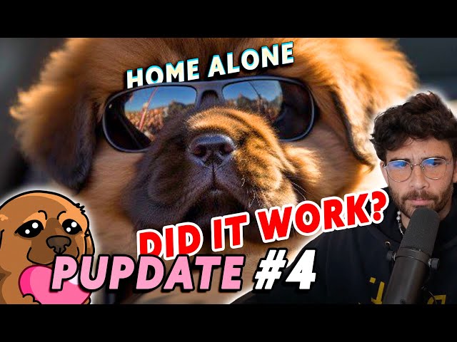 PUPDATE #4 | Kaya HOME ALONE... Did this work out for Hasan?