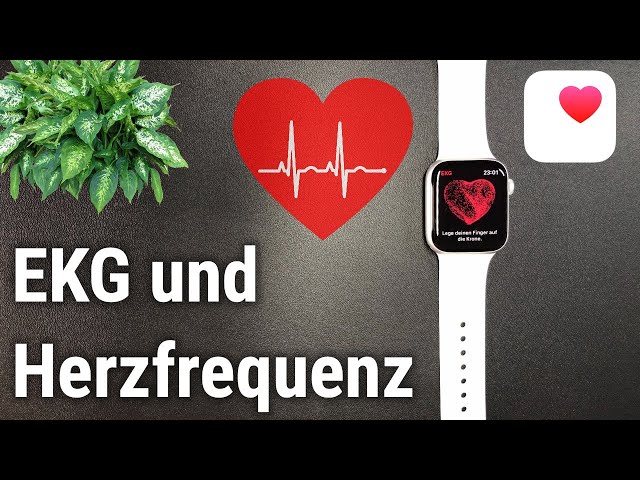 Apple Watch EKG Health Gesundheits-Checkliste