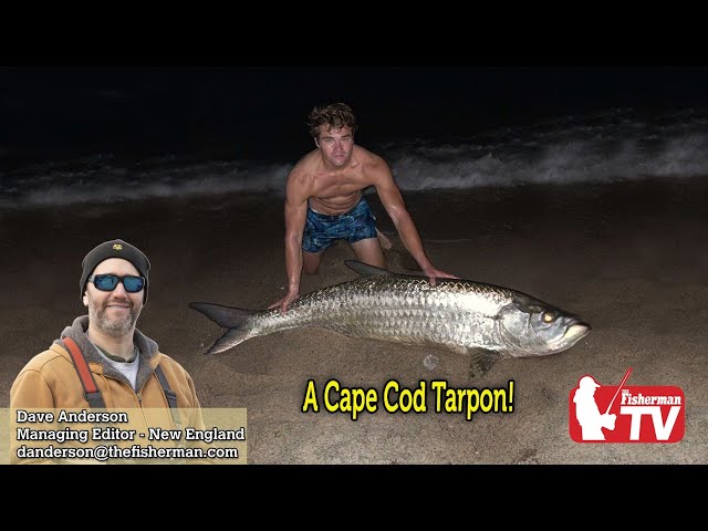 August 17th, 2023,  New England Video Fishing Forecast with Dave Anderson