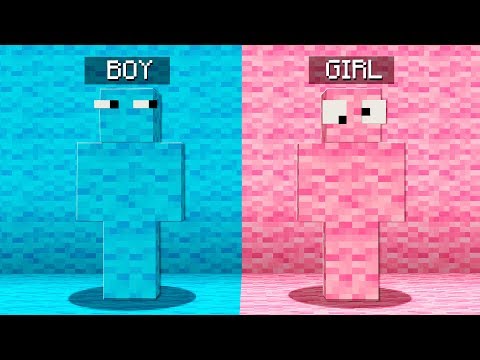 Boy vs Girl Minecraft Hide and Seek Challenge!