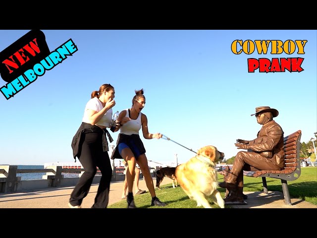 #Cowboy_prank in Melbourne .awesome reactions.don't miss it lelucon statue prank. luco patung