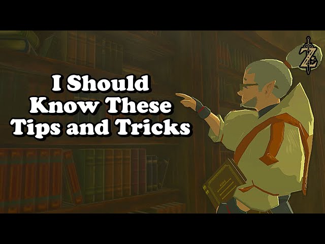 I Wish I Knew These 145 Tips & Tricks for Zelda Breath of The Wild | BotW