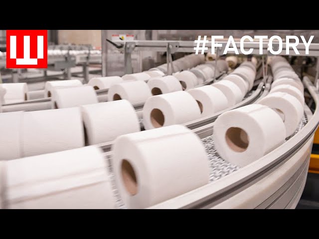 Toilet Paper Factory Tour | How Toilet Paper Is Made In Factory