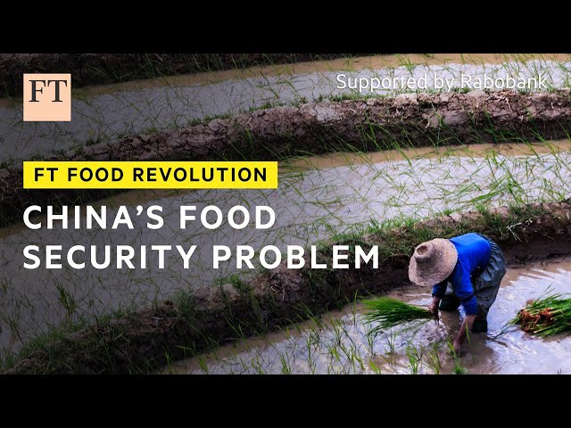 China’s intensifying focus on food security | FT Food Revolution
