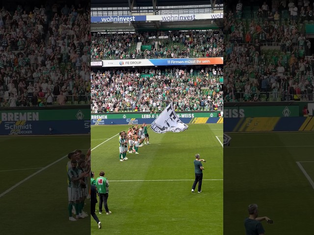 Erster Heimsieg der Saison 💚💚💚 Werder Bremen vs. FSV Mainz 05 #werderbremen #bundesliga