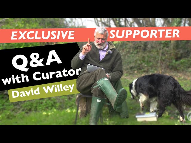 Exclusive Supporter Q&A | March