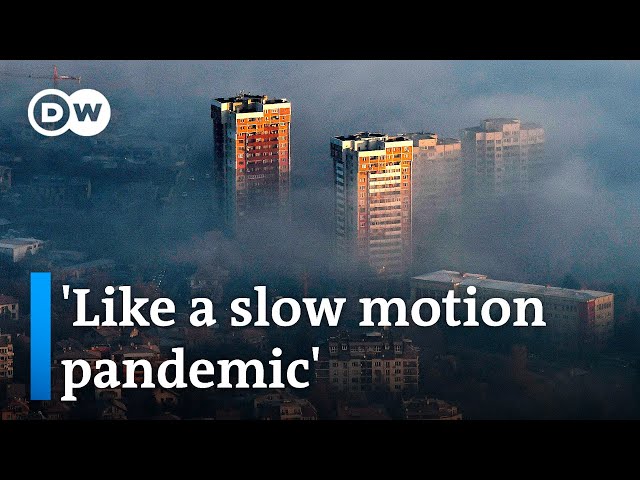 Nearly everyone in Europe is breathing polluted air – with deadly consequences | DW News