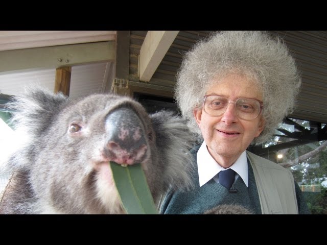 Koala Bears and Eucalyptus - Periodic Table of Videos
