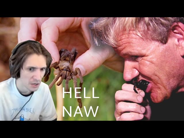 xQc reacts to Gordon Ramsay eating a Fried Spider
