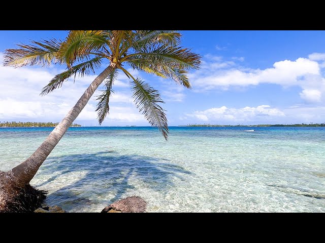 Beautiful Island Scene From The Caribbean Archipelago of San Blas