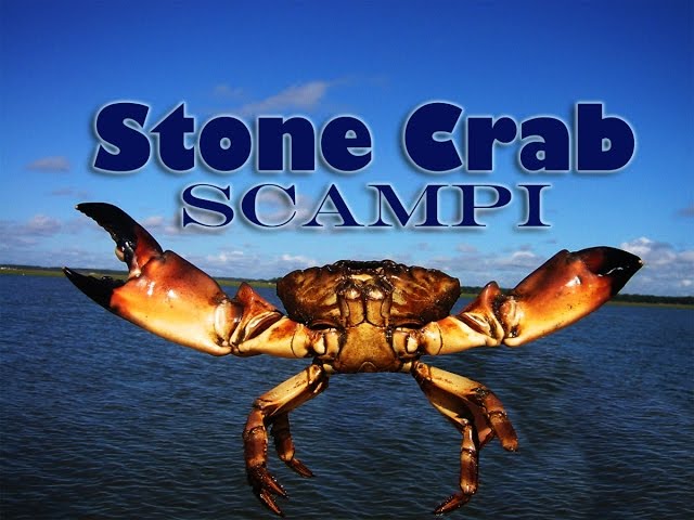 Stone Crab Scampi! Custom Boat Shootout 2015: Tasty Tuesday 19