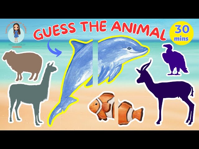ANIMAL NAMES AND SOUNDS | First Words for Babies | Speech Practice for Toddlers | English for Kids
