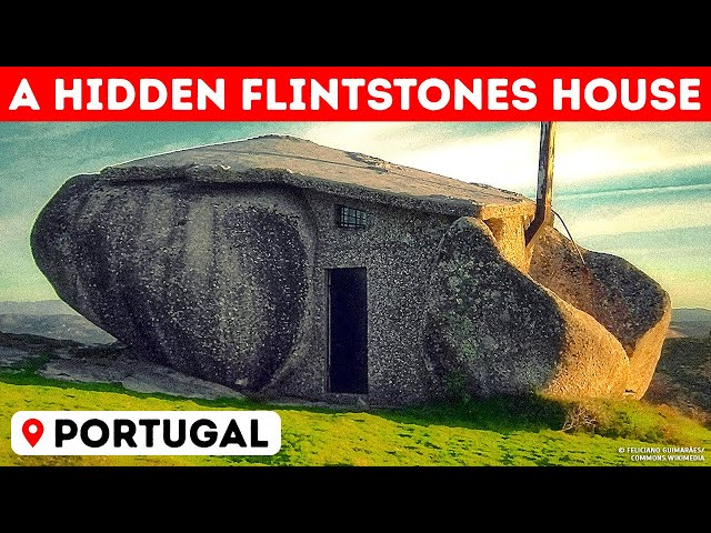 Could You Live in One of the 11 World's Wildest Homes?