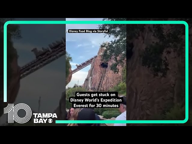 Guests stuck on Disney World’s Expedition Everest for 30 minutes