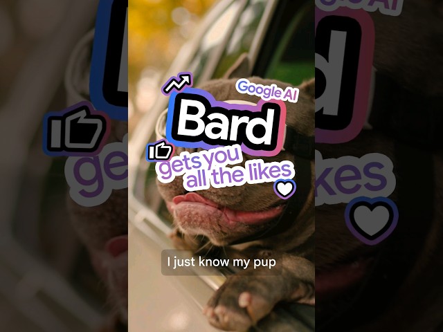 Finding the perfect caption can be ruff. 🐾 bard.google.com #ThanksBard