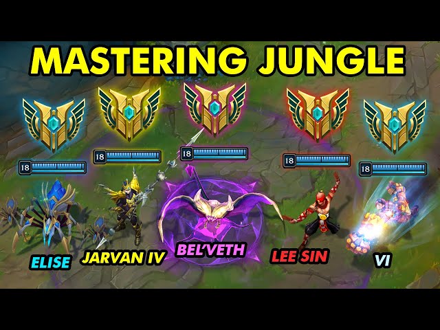 What MASTERING EVERY Jungler Looks Like...