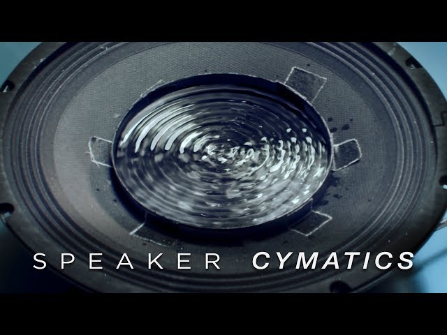 Cymatics: Speaker Dish