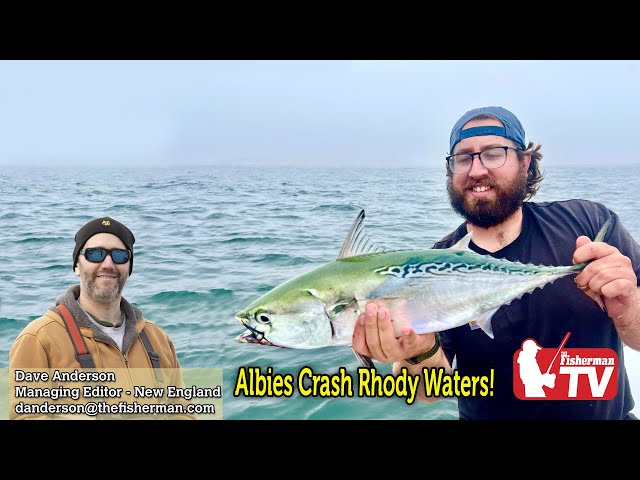 August 31st, 2023,  New England Video Fishing Forecast with Dave Anderson