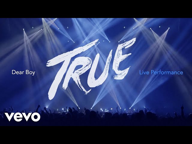 Avicii - Dear Boy (Live in Uncasville, True Tour 2014)