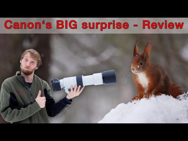 Canon RF 200-800mm REVIEW - Too slow or the perfect telephoto lens for bird photographers?
