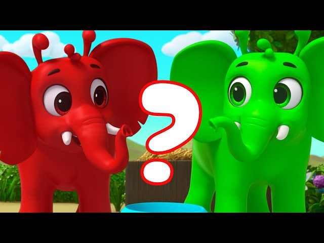 Elephant Brothers 🐘 | Morphle's Magic Universe 🌌 | Adventure Cartoons for Kids