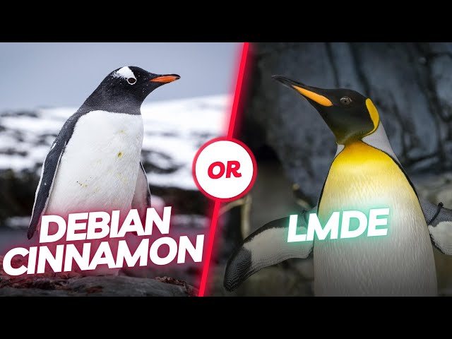 LMDE or Debian with Cinnamon: Which is the better choice? You should know this beforehand!