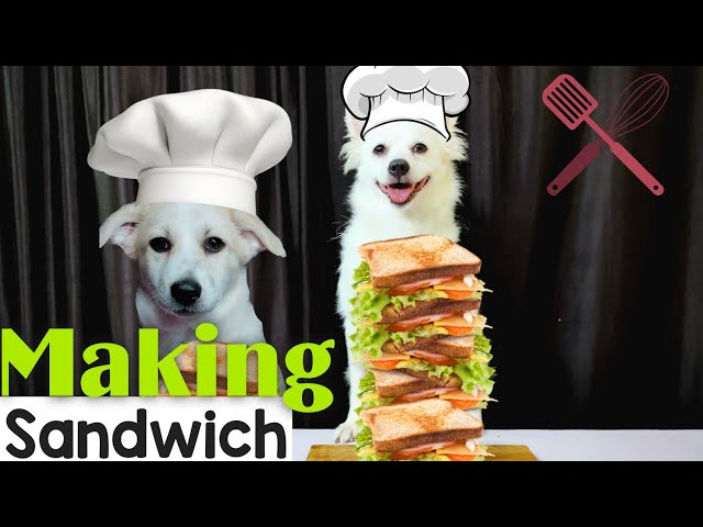 Making Sandwich For Mummy | Rio and Kulotobaby - Talking Dog Episode - Two