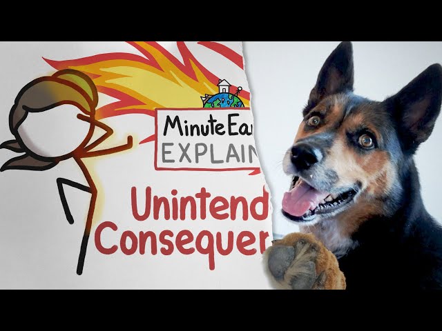Unintended Consequences | MinuteEarth Explains