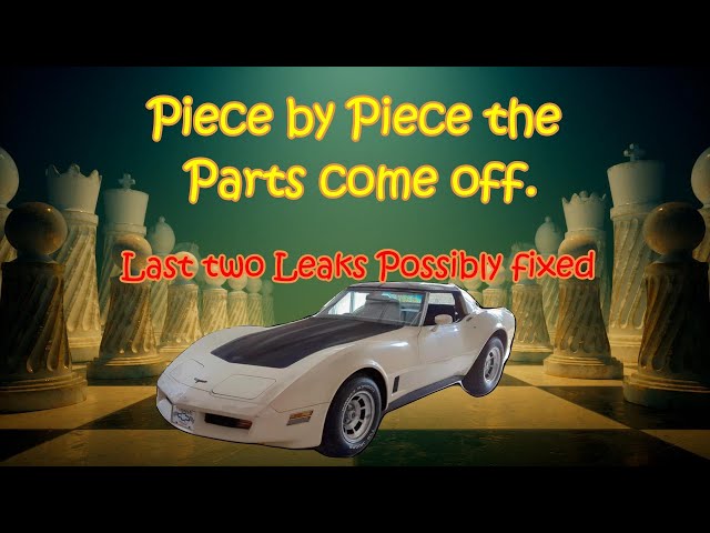 81 Corvette Leaky Timing Cover