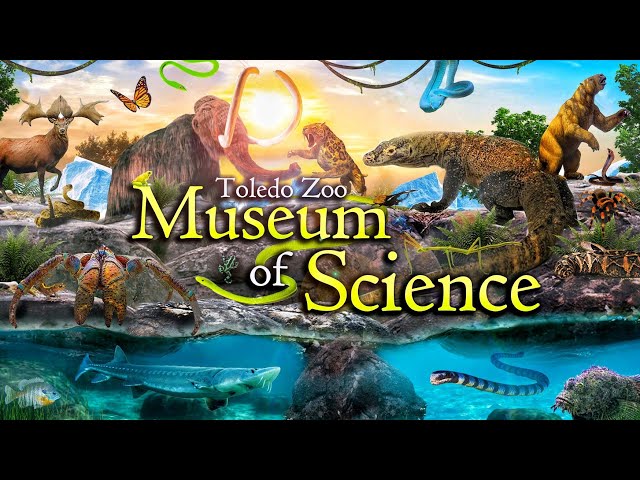 Zoo Tours: Toledo Zoo's Museum of Science