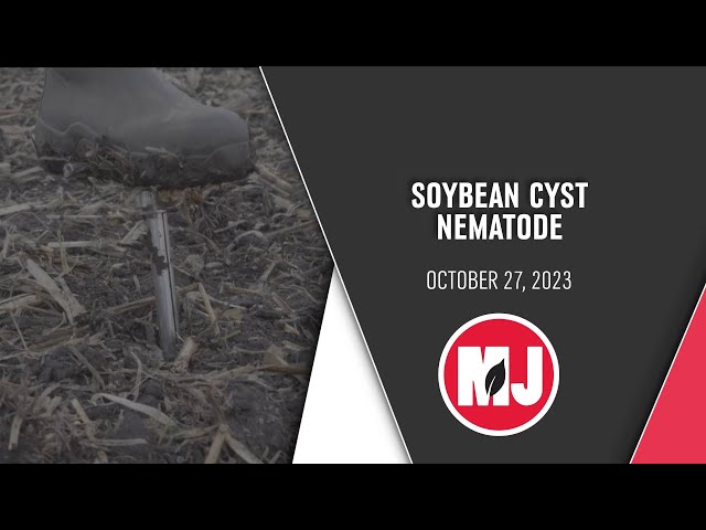 Soil Testing | Dylan Mangel | October 27, 2023