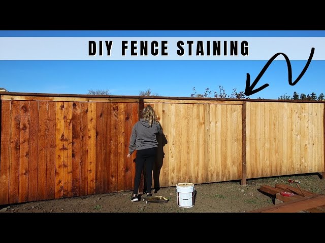 DIY Wood Fence Staining