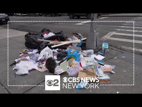 Elevating Voices | CBS New York
