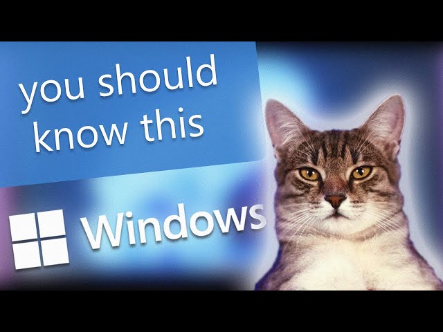 Adorable Tech Cat Explains What The SFC Scan is on Windows 10/11