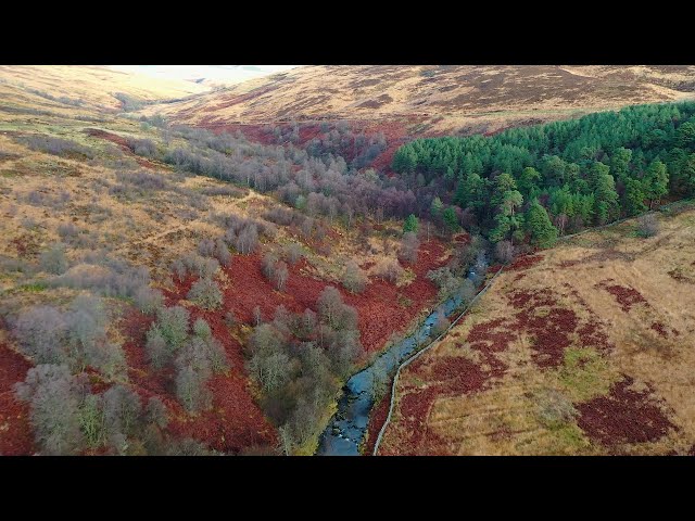 The Scottish village that raised millions to create a nature reserve