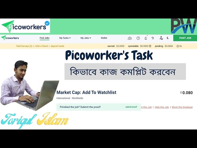 How to do Market Cap: Add to Watchlist at picoworker || Picoworker Task