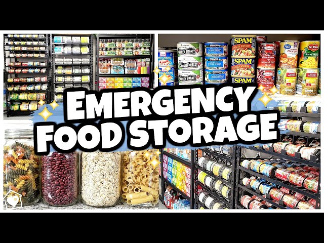20 Foods I Keep in MY SECRET PREPPER PANTRY (Food Storage 101)