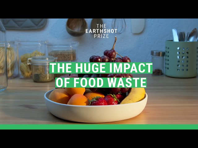 Why is so much food wasted? | The Earthshot Prize