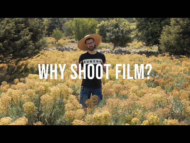 Why shoot film in 2024 (or ever)?