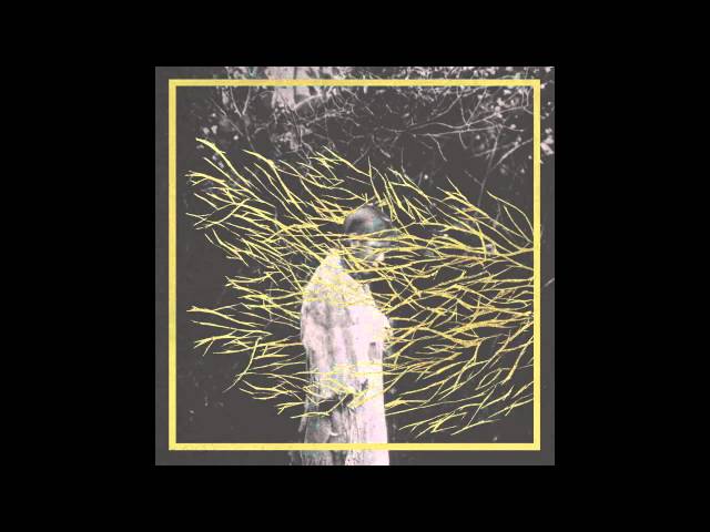 Forest Swords - Friend, You Will Never Learn