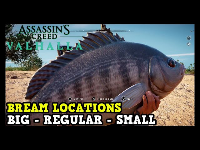 Assassin's Creed Valhalla Bream Fish Locations (Big - Regular - Small)