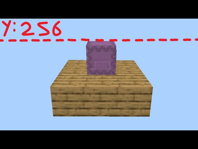 What if i open the shulker......?