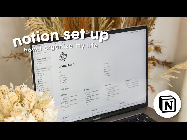 how i plan & organize my life using notion + templates