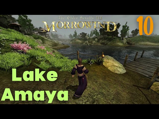 Let's Play Morrowind #10 - Lovely Amaya Lake | Pure Mage Explorer