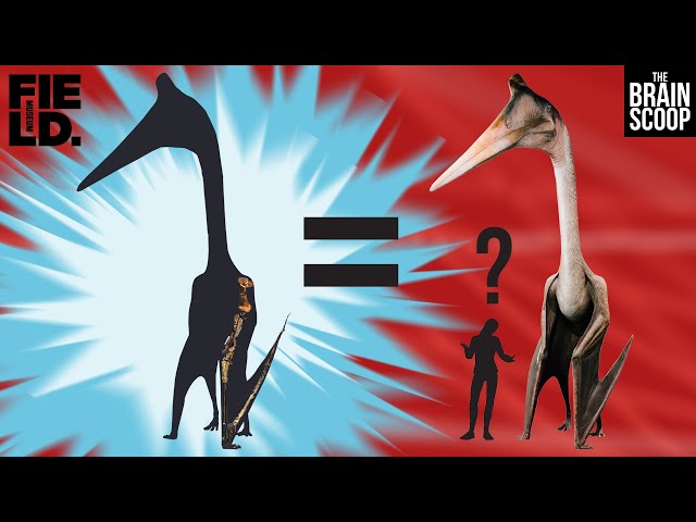 Going out on a limb for Quetzalcoatlus