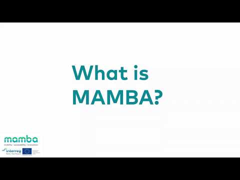 MAMBA Project