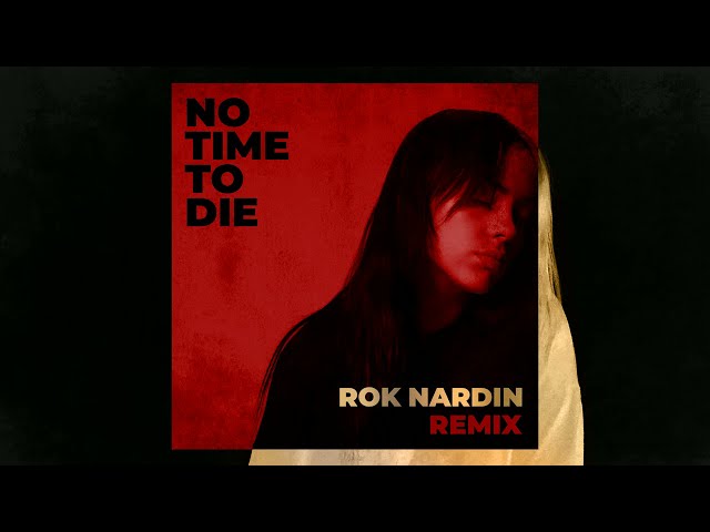 Billie Eilish - No Time To Die (Rok Nardin Remix)