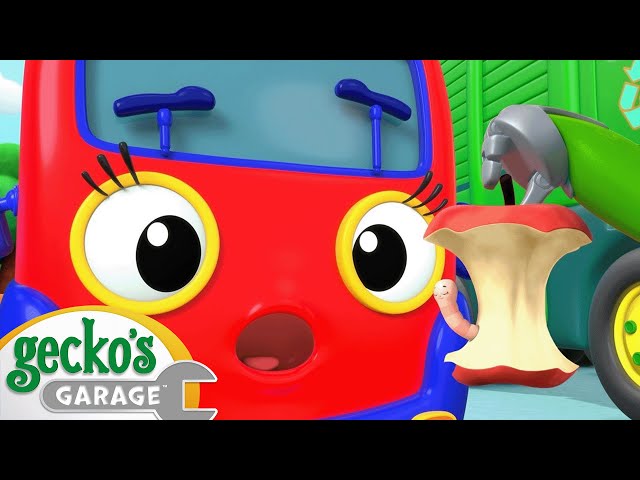 Baby Truck's Wobbly Tooth | Gecko's Garage | Cartoons For Kids | Toddler Fun Learning