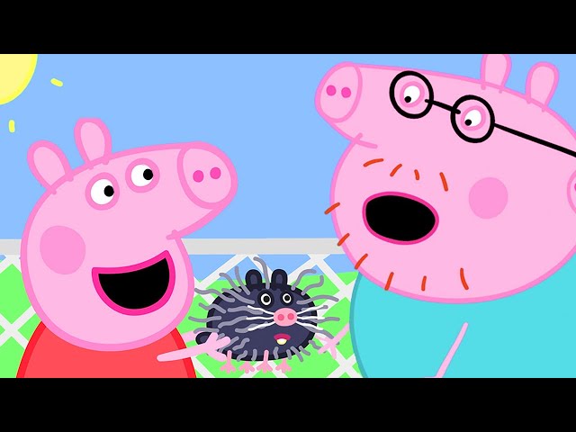 What Animal is Peppa Pig Holding at the Petting Farm? | Family Kids Cartoon