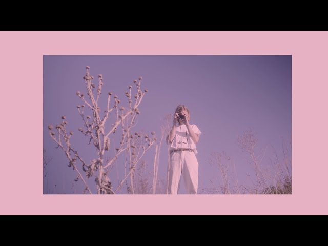 Dolphin Love - areyougoingtobehere (Music Video)